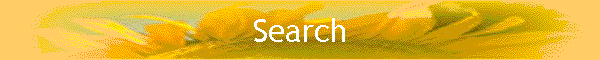 Search